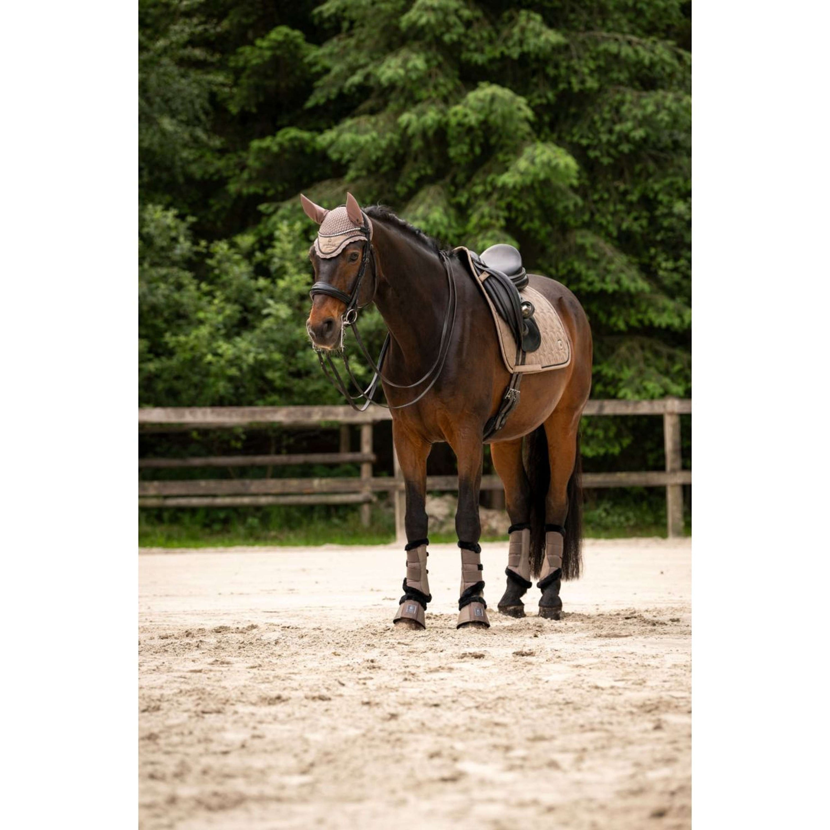 Cavallo Bonete para Orejas CavalPerla Mocha Latte Cavallo Bonete para Orejas CavalPerla Mocha Latte