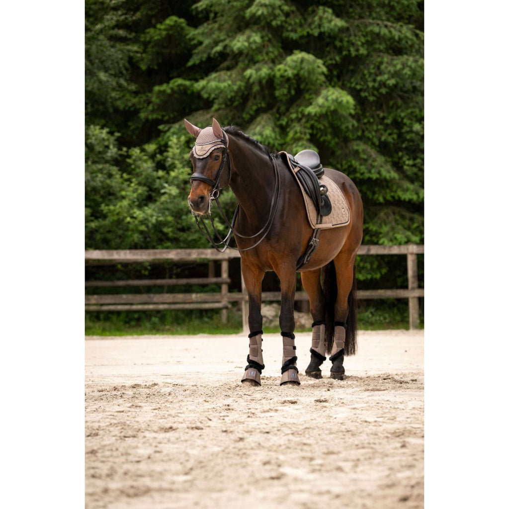 Cavallo Bonete para Orejas CavalPerla Mocha Latte