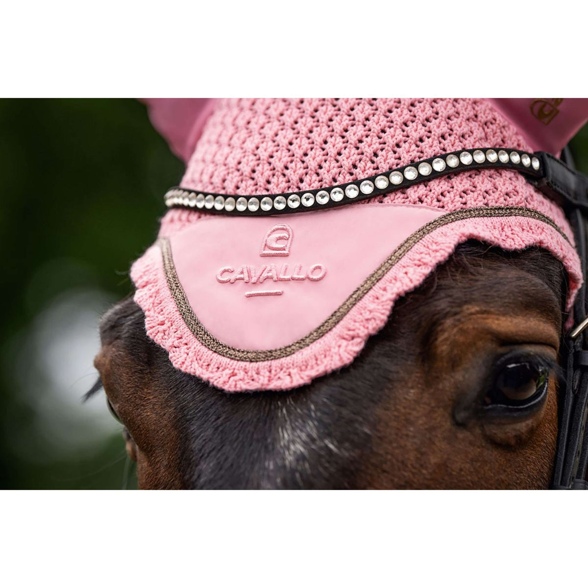 Cavallo Bonete para Orejas CavalPerla Powder Pink