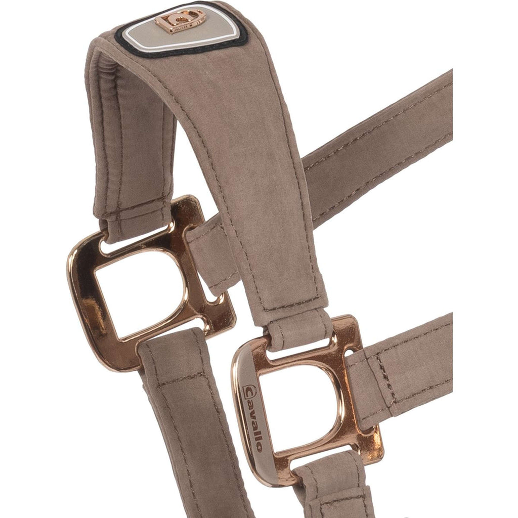 Cavallo Cabestro CavalPawel Mocha Latte