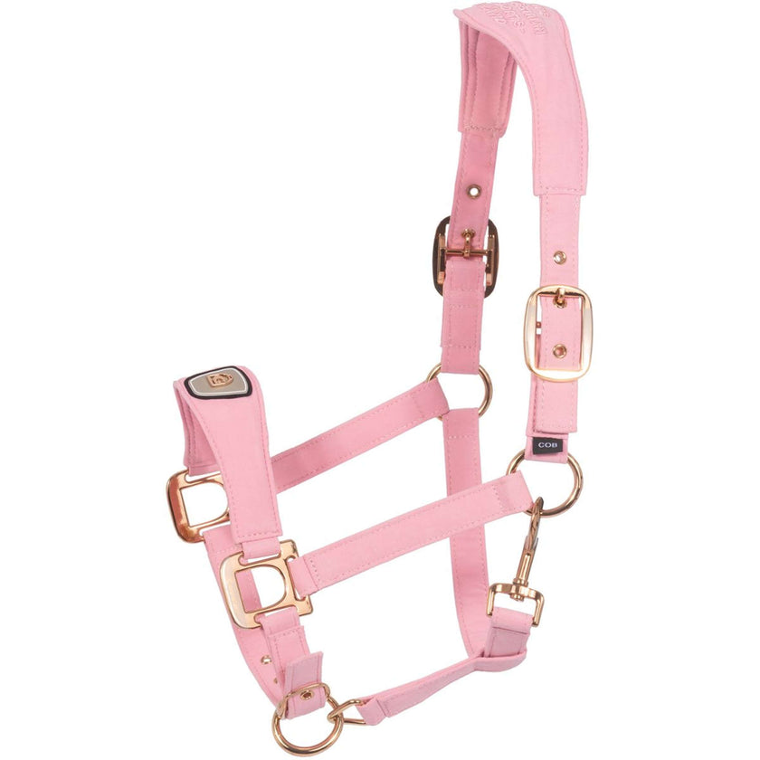 Cavallo Cabestro CavalPawel Powder Pink