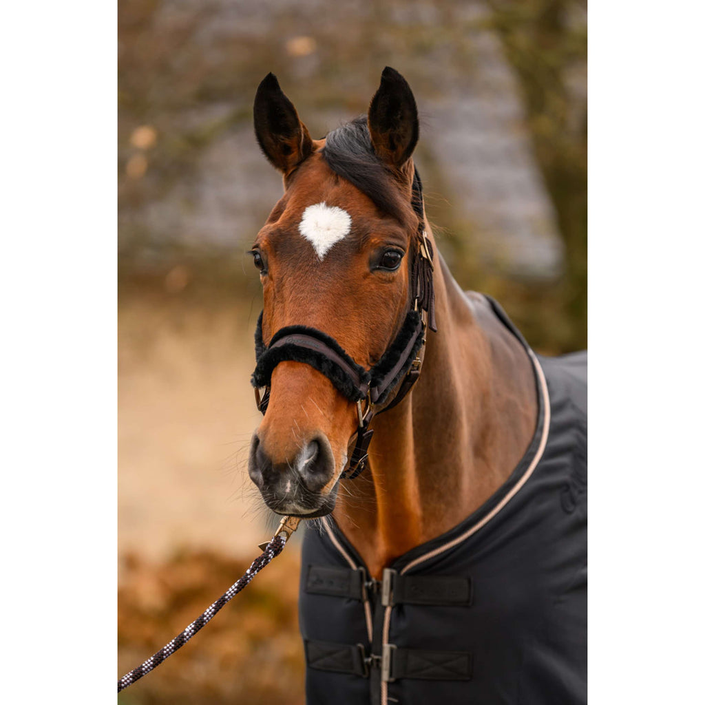 Cavallo Cabestro CavalJero con Piel Café Noir