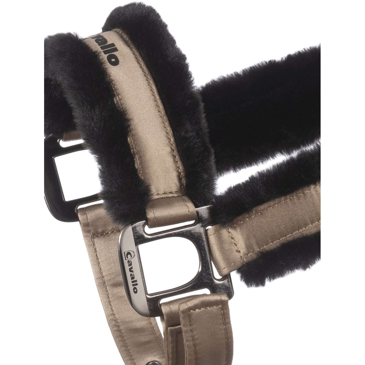 Cavallo Cabezada Cavaljero Biscuit