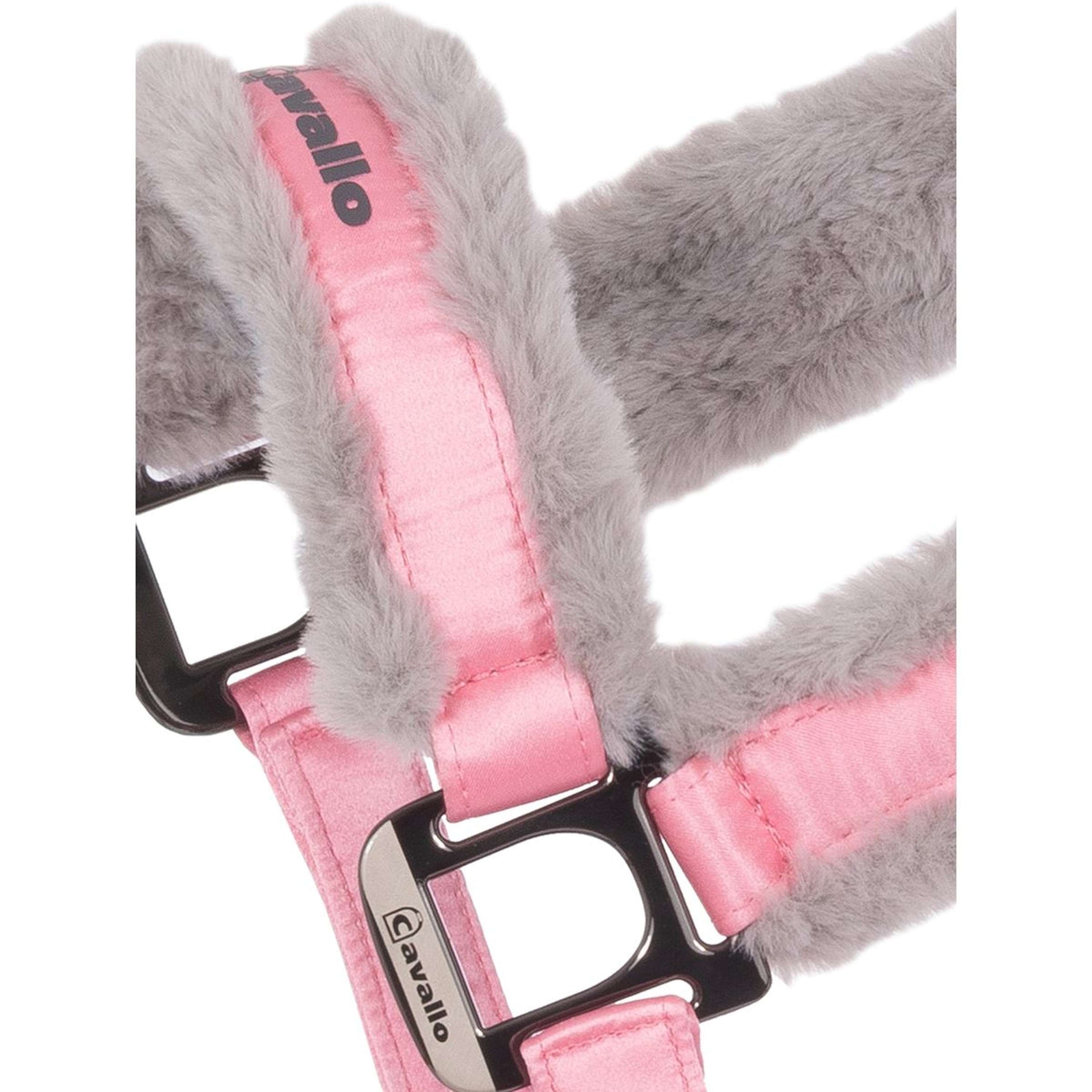 Cavallo Cabestro CavalJero Powder Pink
