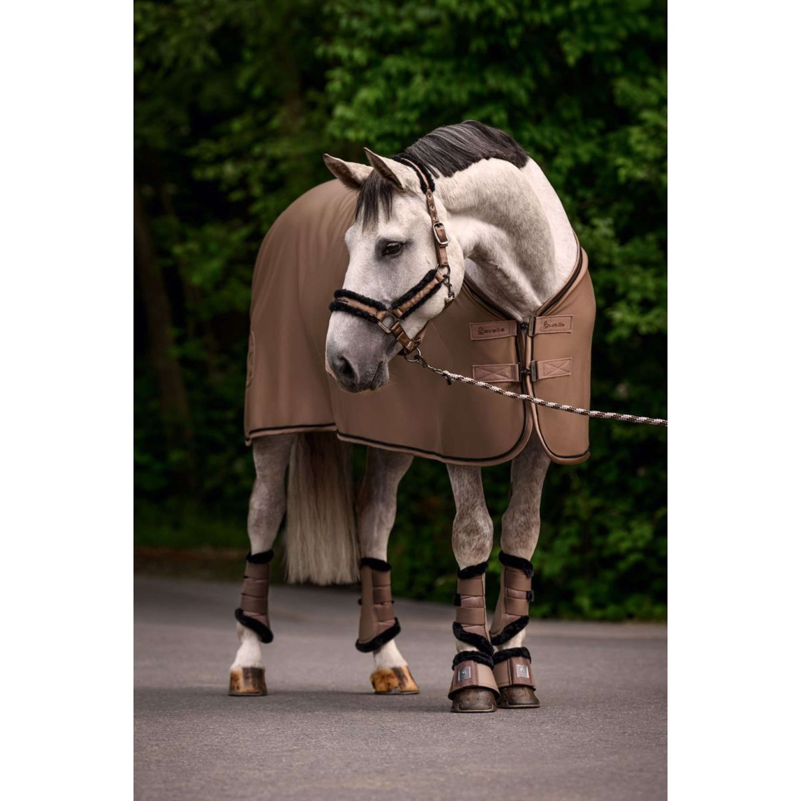 Cavallo Cabestro CavalJero Mocha Latte Cavallo Cabestro CavalJero Mocha Latte