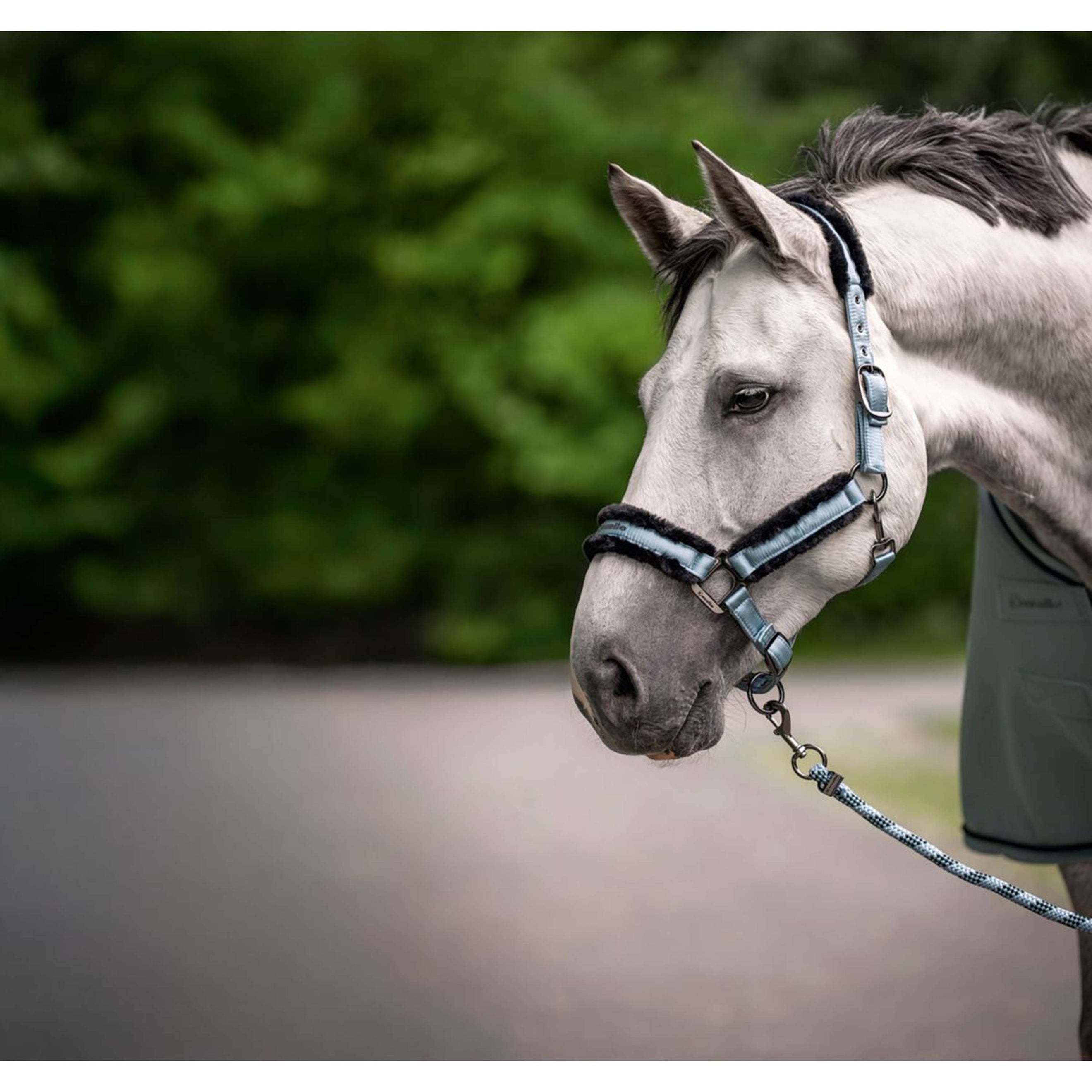 Cavallo Cabestro CavalJero Soft Aqua