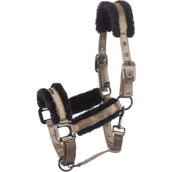 Cavallo Cabezada Cavaljero Biscuit