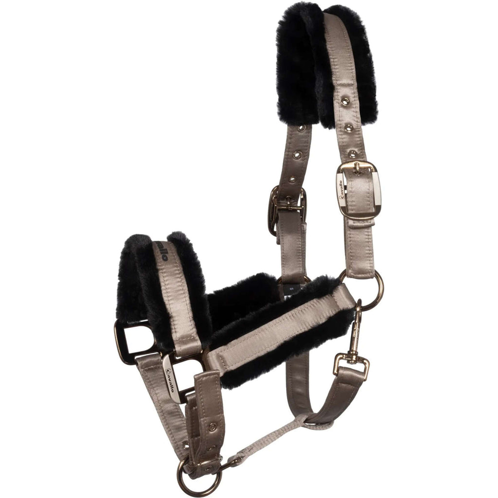 Cavallo Cabestro CavalJero con Piel Latte