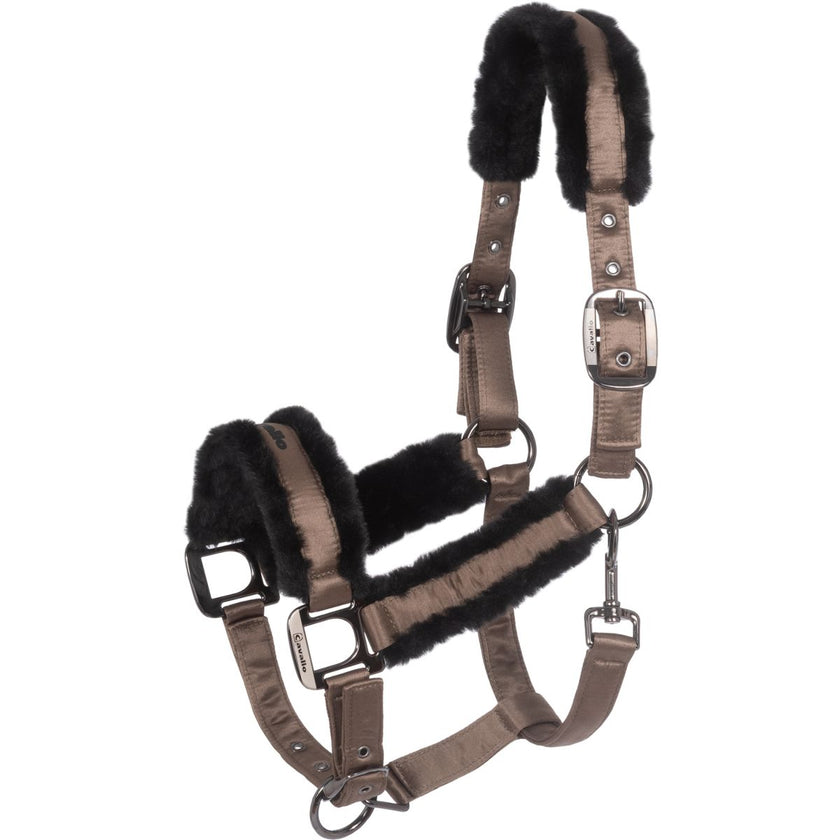 Cavallo Cabezada CavalJero Mocha Latte Cavallo Cabezada CavalJero Mocha Latte