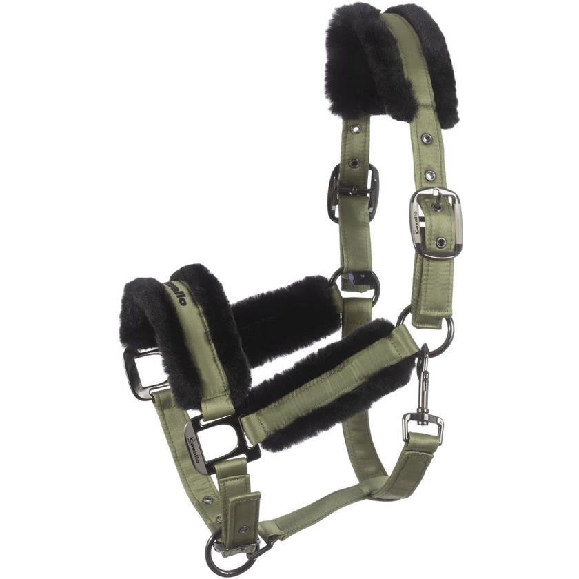 Cavallo Cabezada Cavaljero Tea Leaf Cavallo Cabezada Cavaljero Tea Leaf