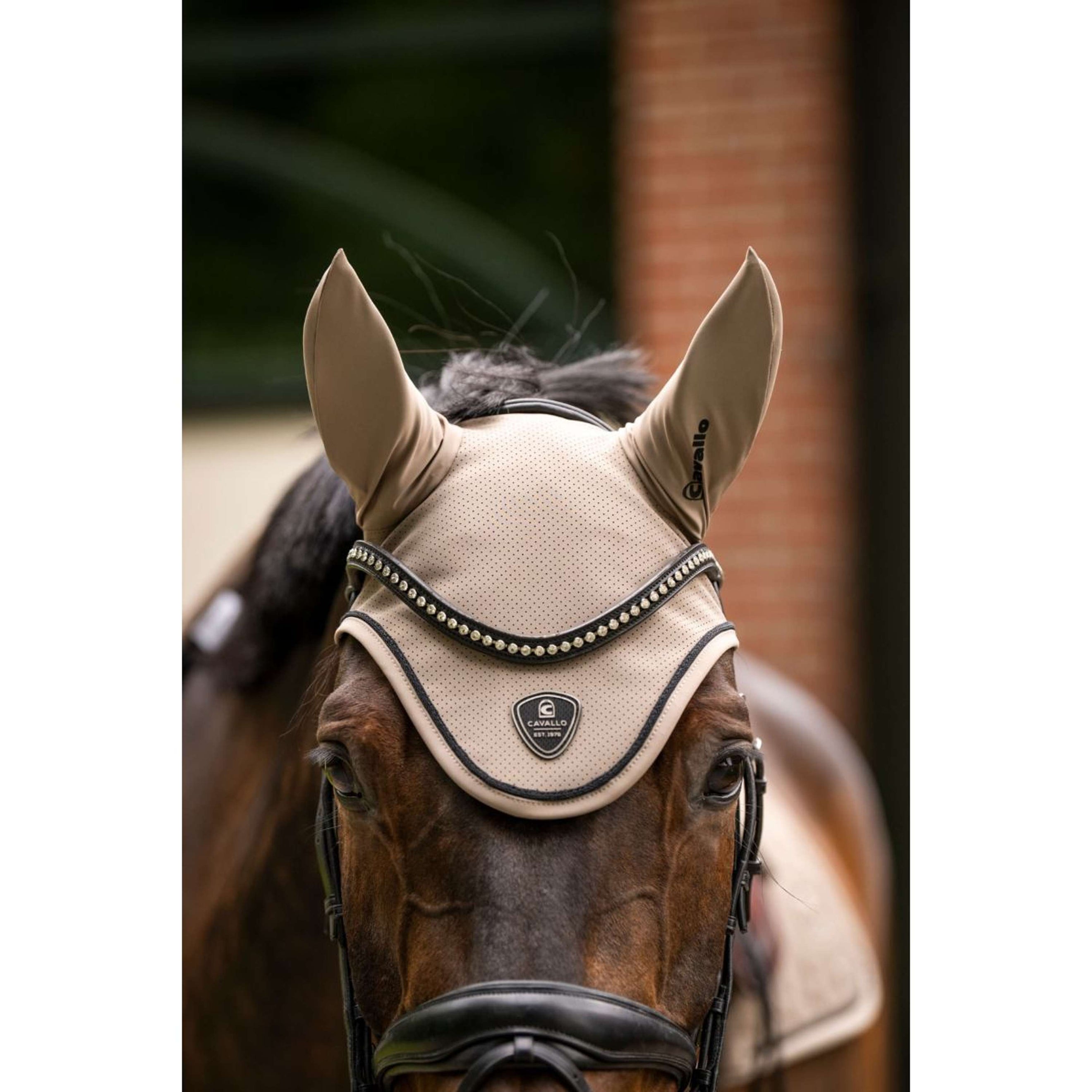 Cavallo Bonete para Orejas CavalJackie Mocha Latte