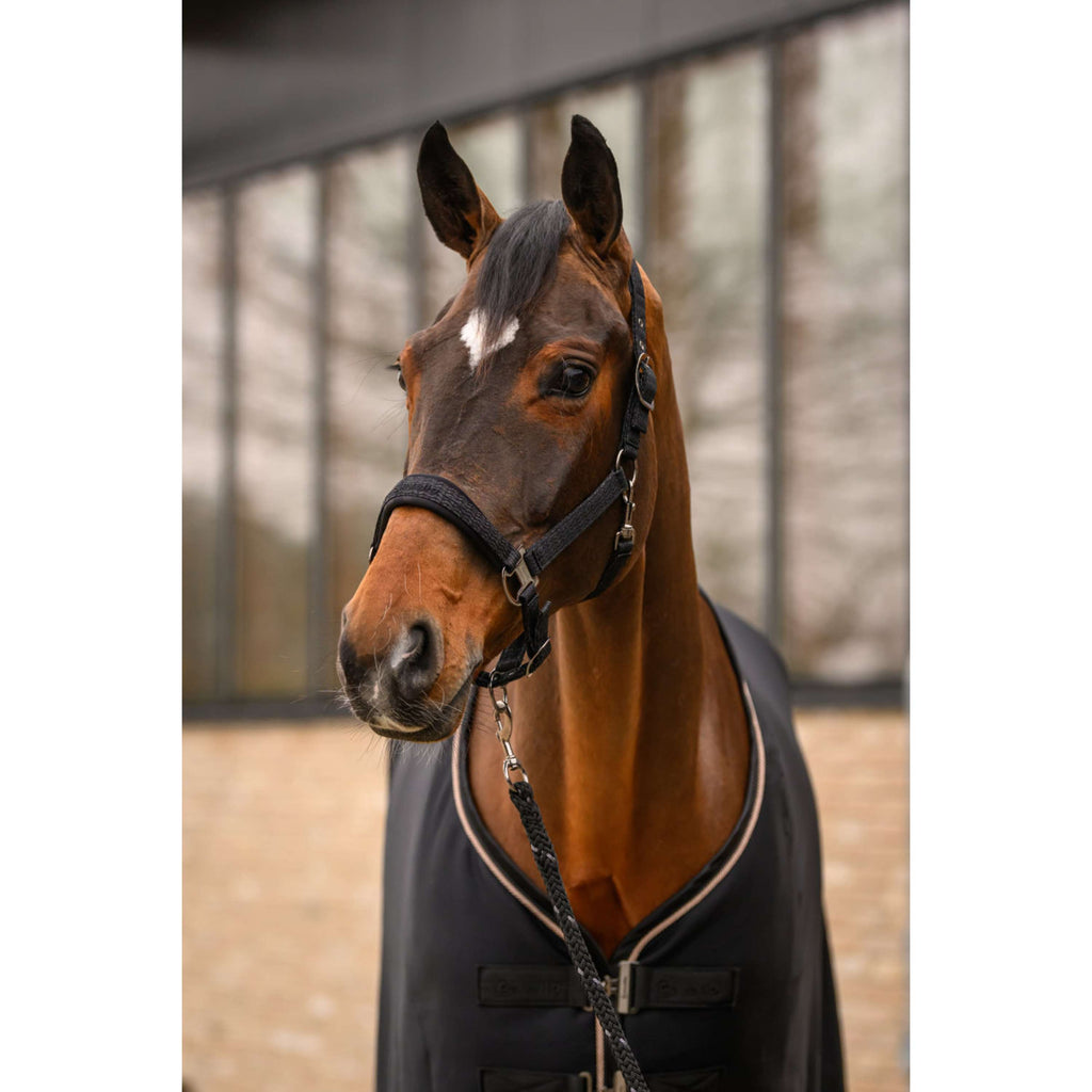 Cavallo Cabestro CavalRose Negro