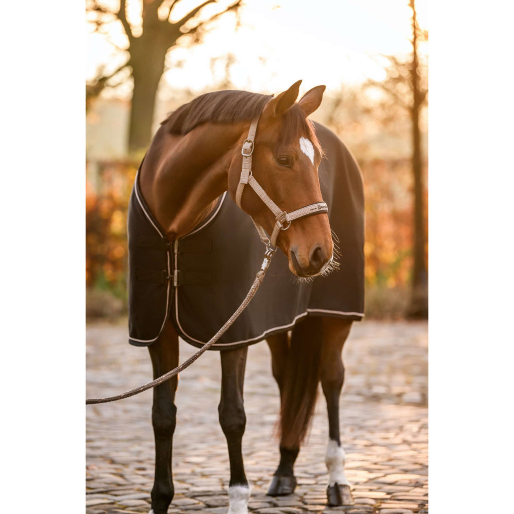 Cavallo Cabestro CavalRose Latte