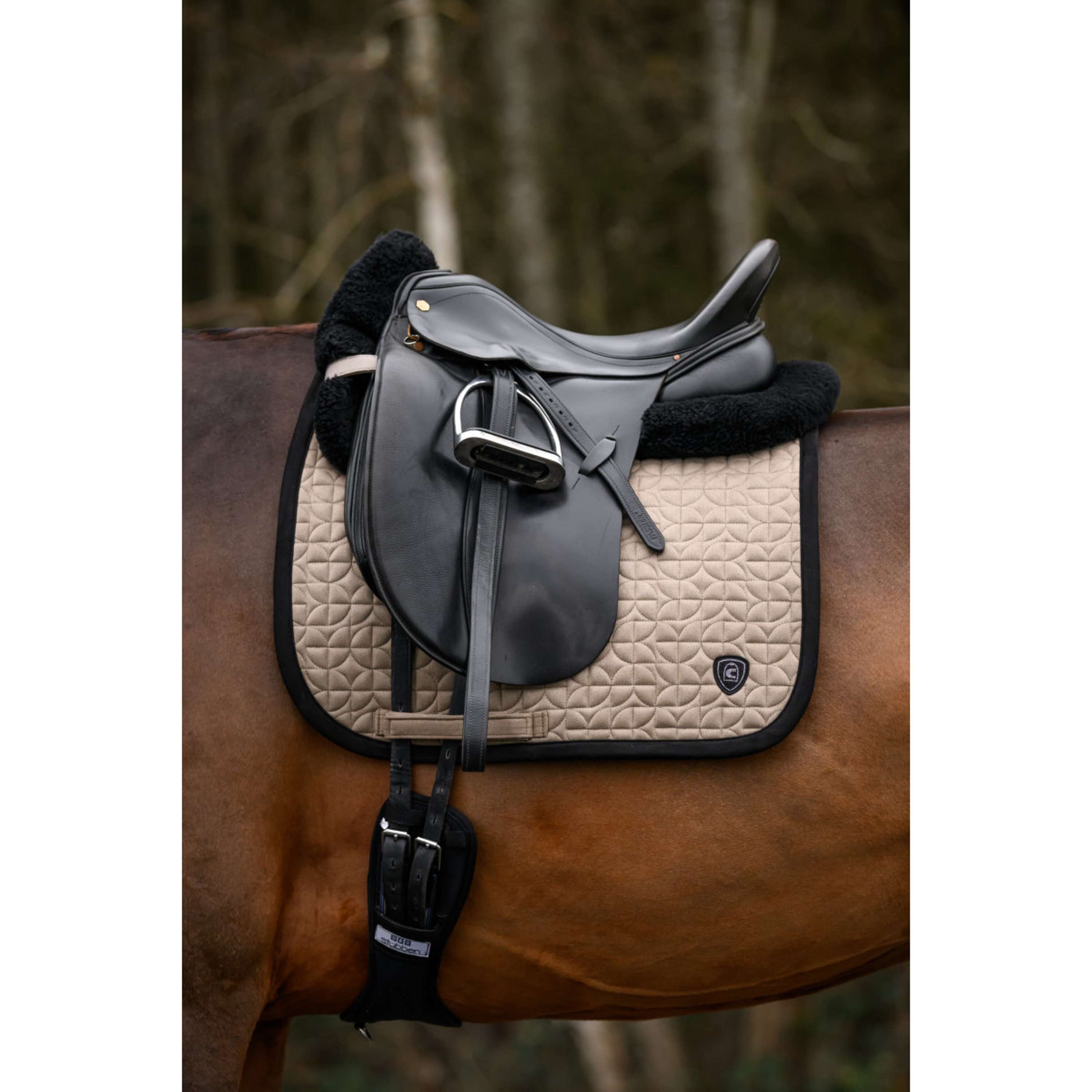 Cavallo Mantilla CavalRory Doma clásica Latte
