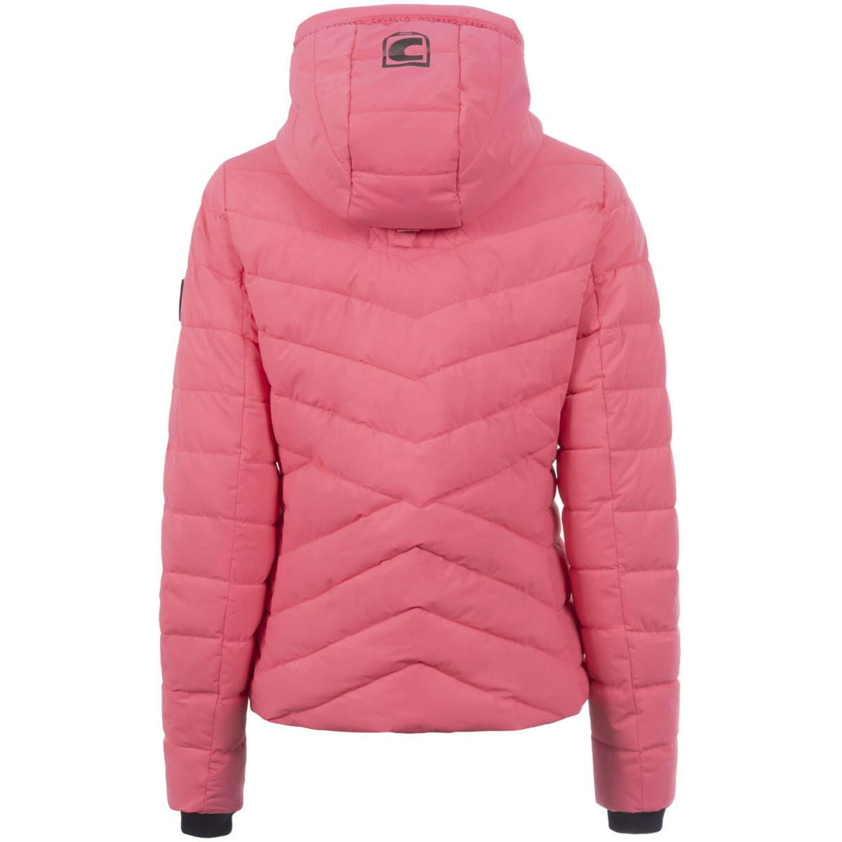 Cavallo Chaqueta Cavalraven Blush