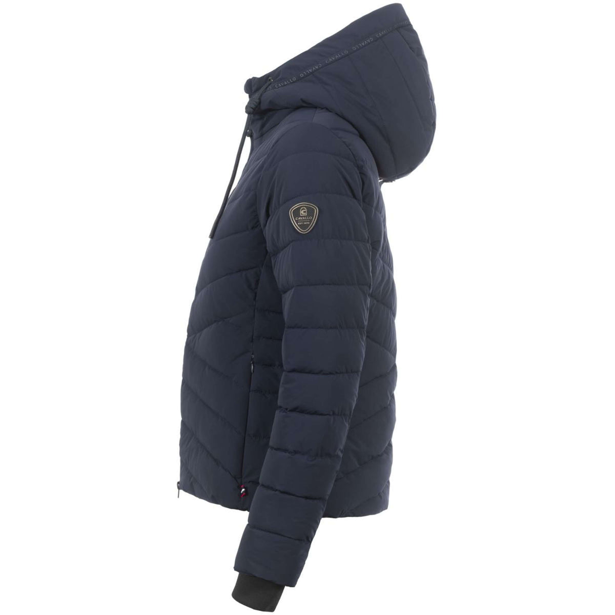 Cavallo Chaqueta Cavalraven Azul oscuro