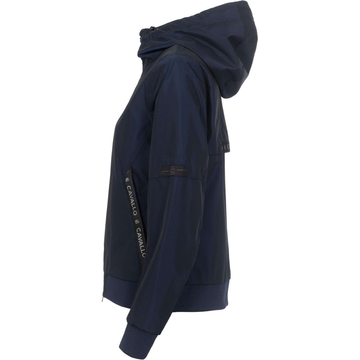 Cavallo Jack CavalBlair Azul oscuro