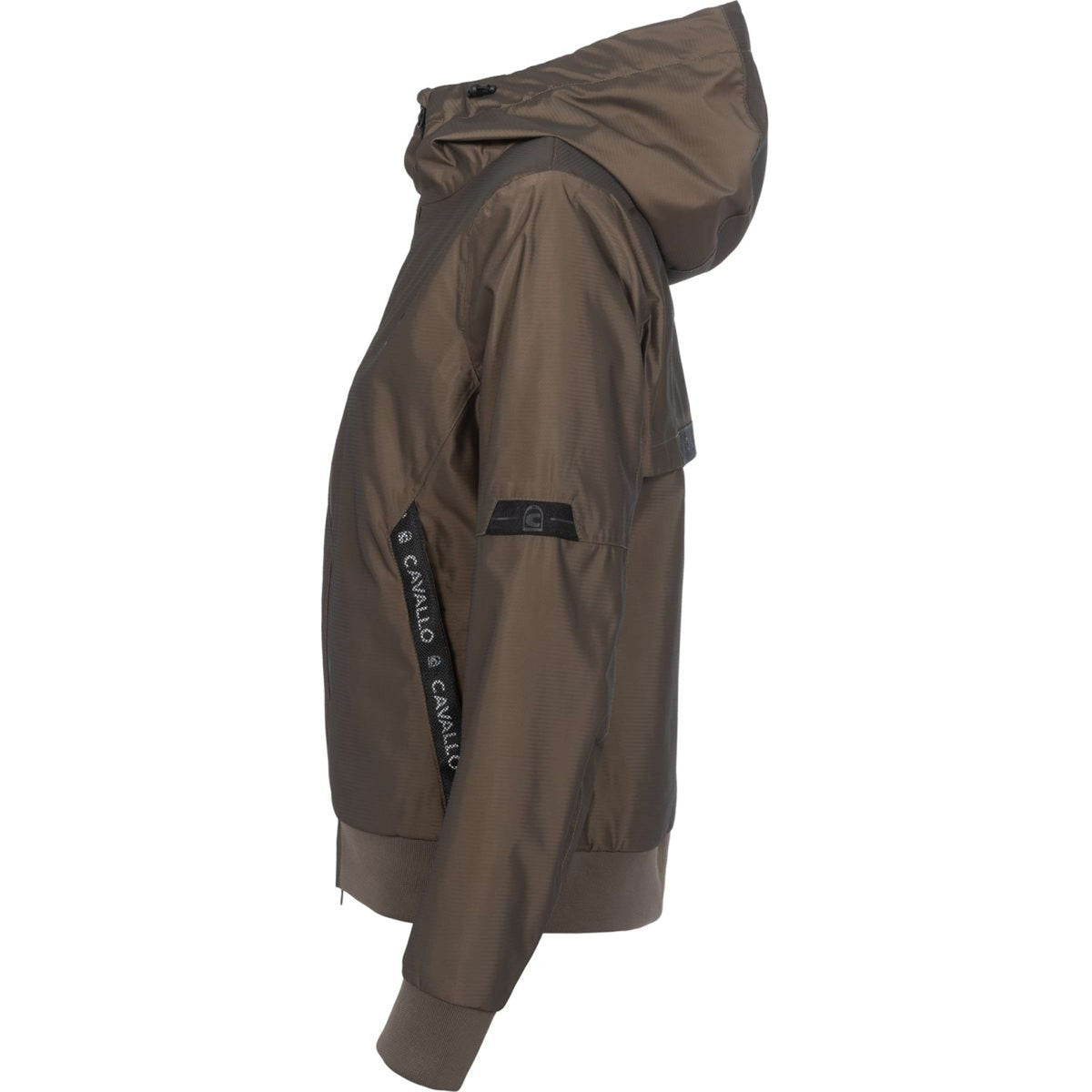 Cavallo Jack CavalBlair Mocha Latte