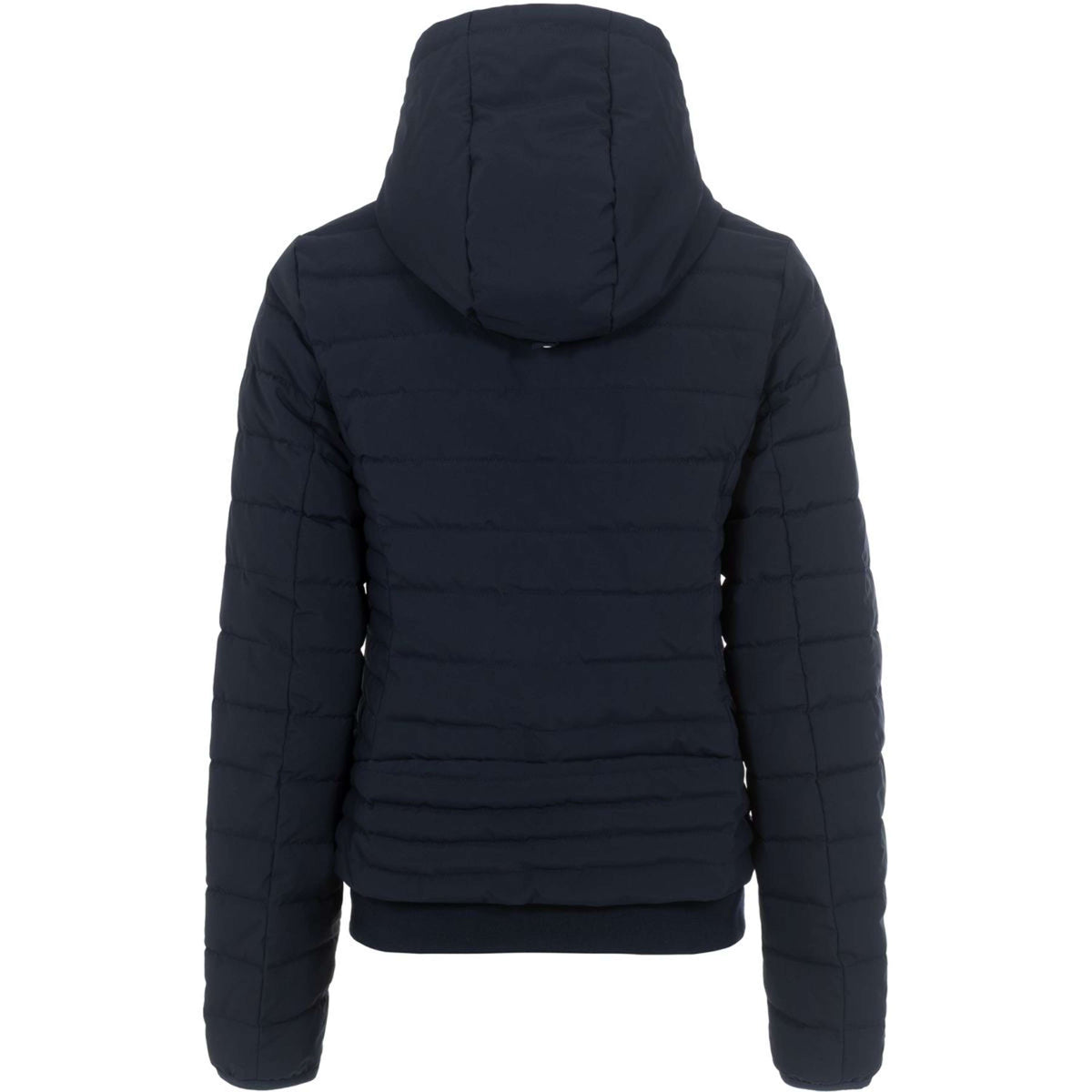 Cavallo Jack CavalBena Azul oscuro