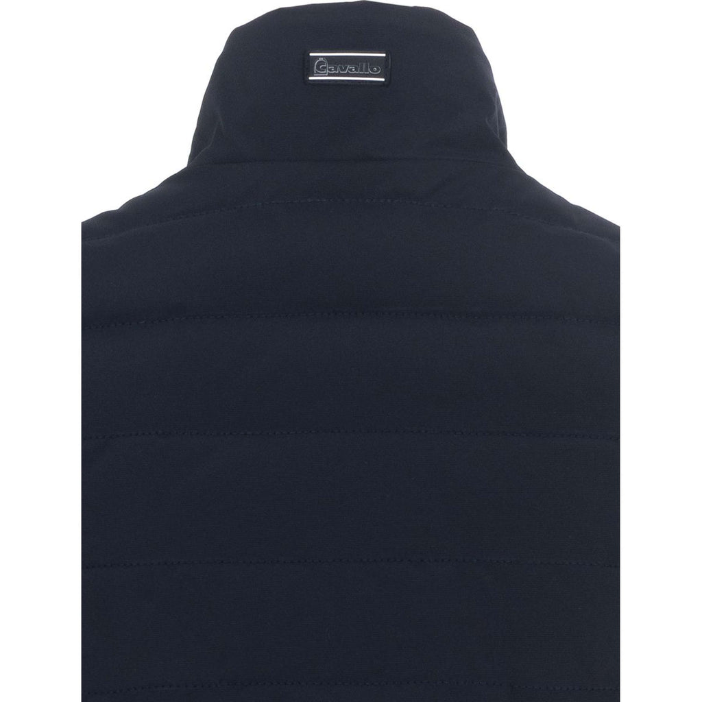 Cavallo Jack CavalBay Azul oscuro
