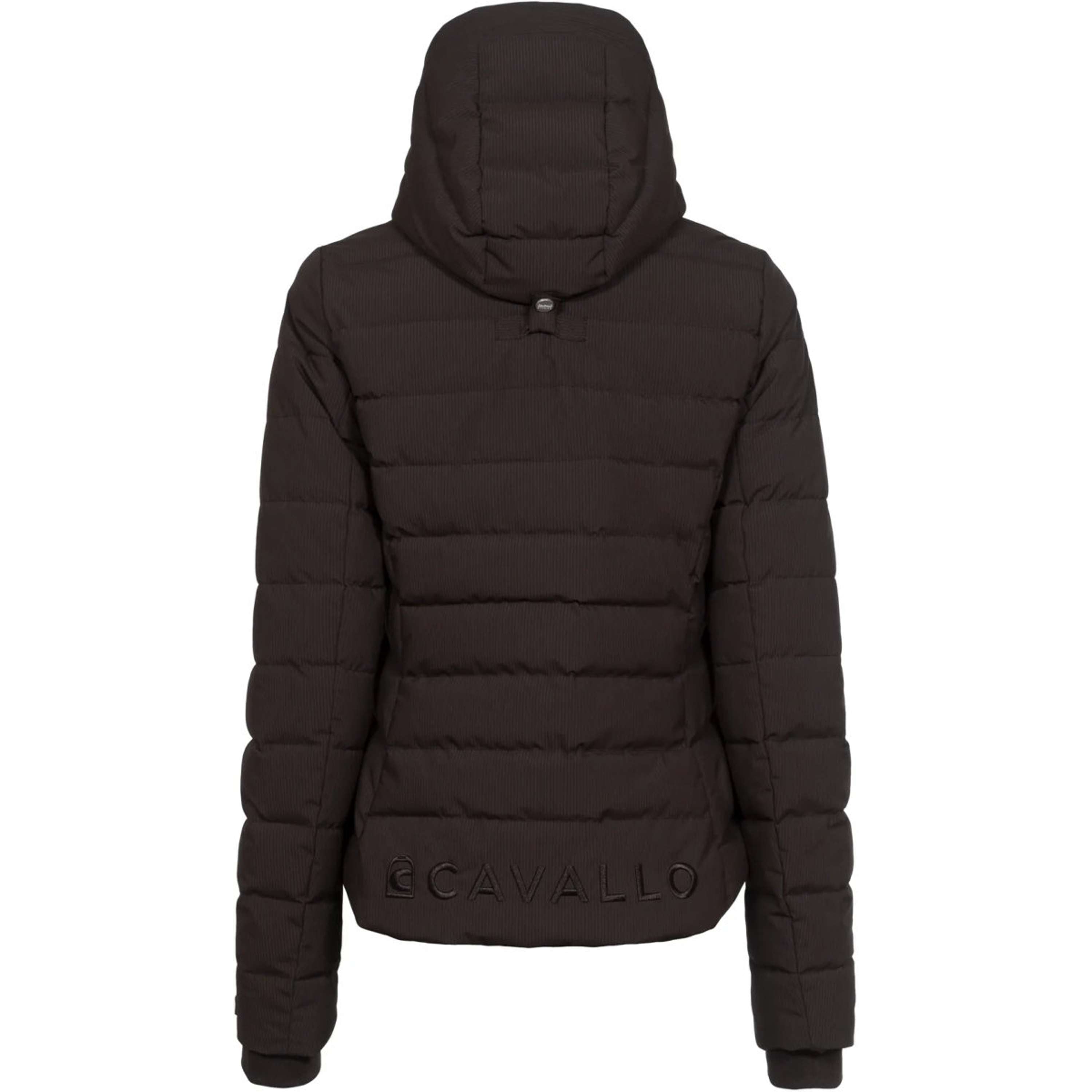 Cavallo Chaqueta CavalDanet Café Noir