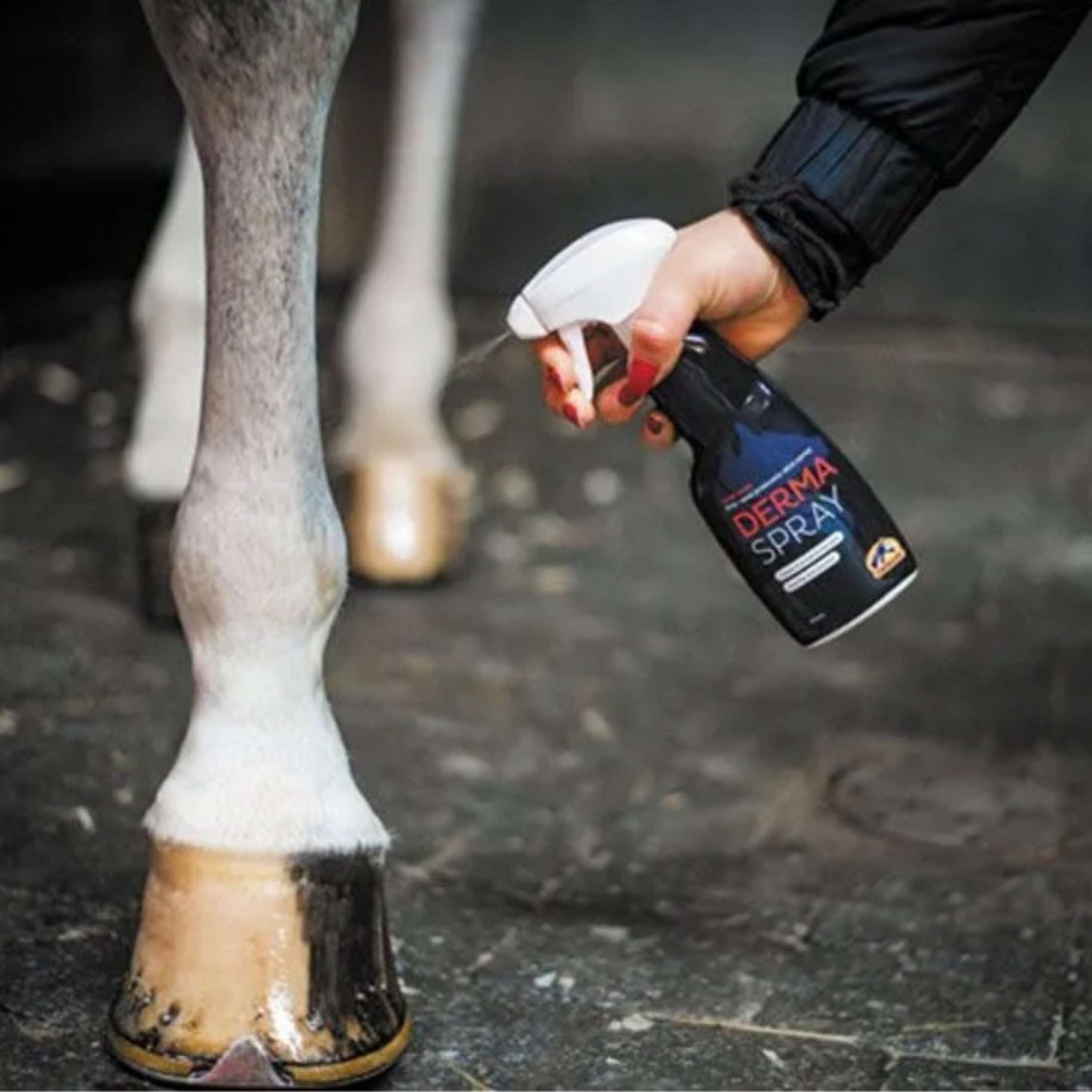 Cavalor Spray dermatológico