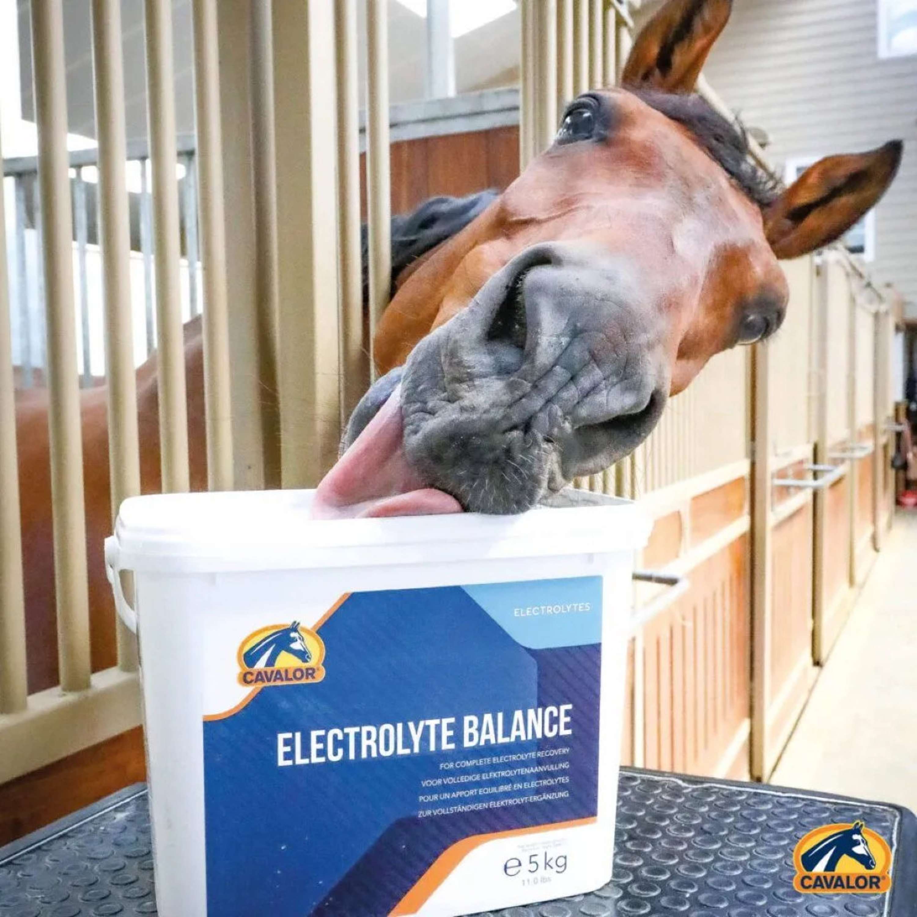 Cavalor Electrolitos Electolyte Balance
