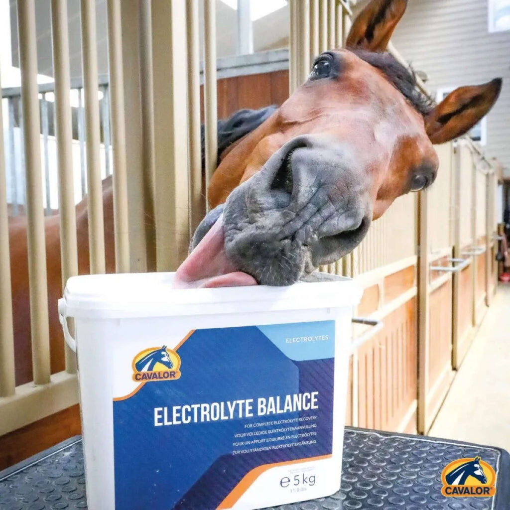 Cavalor Electrolitos Electolyte Balance