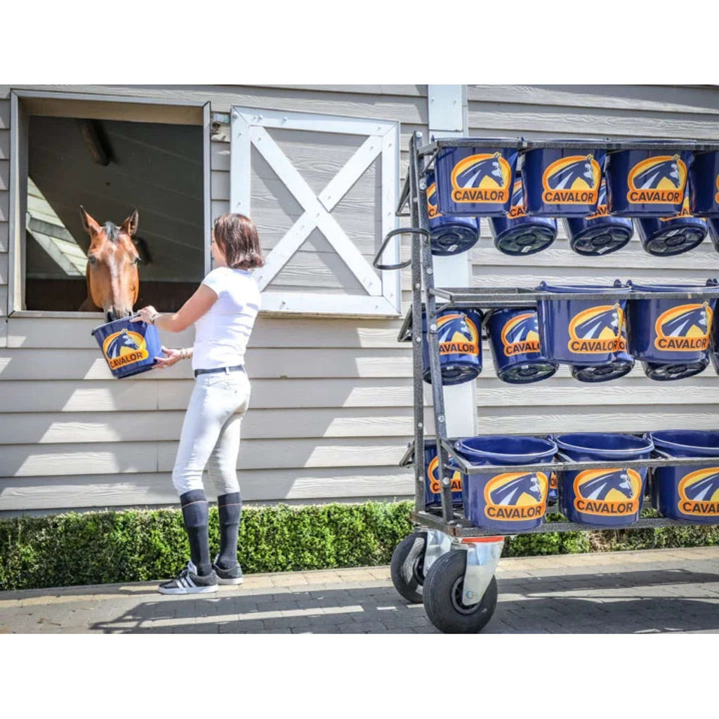 Cavalor Alimento para Caballos Mash & Mix