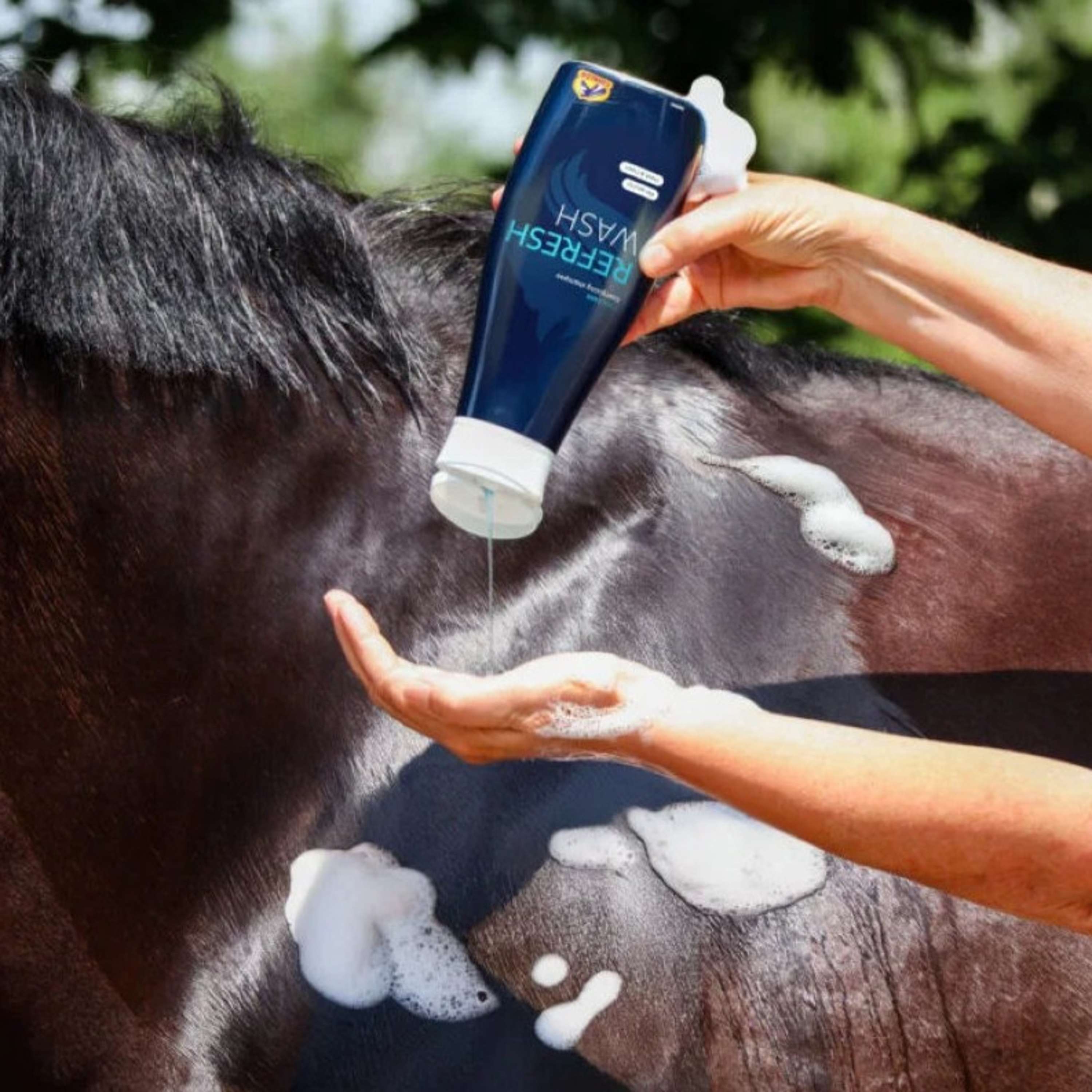 Cavalor Champú Refresh Wash