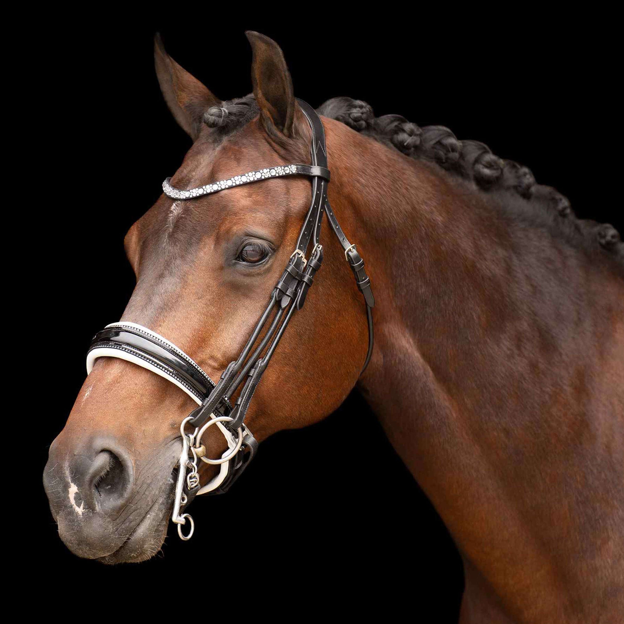 Imperial Riding Brida Doble IRHOlympia Negro/Blanco Imperial Riding Brida Doble IRHOlympia Negro/Blanco