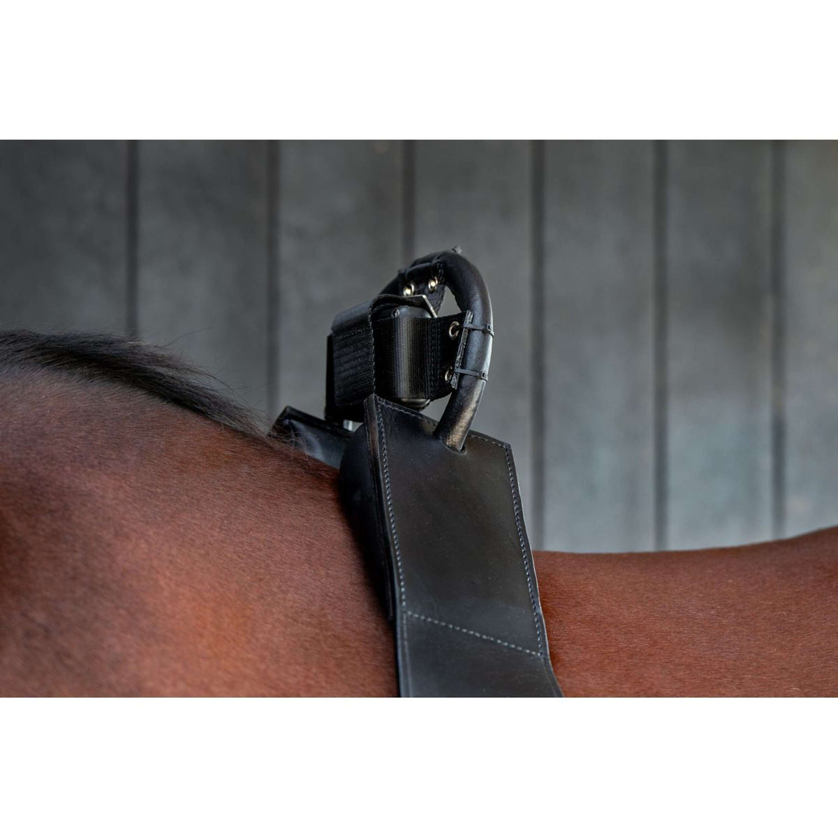 Birth Alarm Classic Completo incl. Cincha Antivuelco