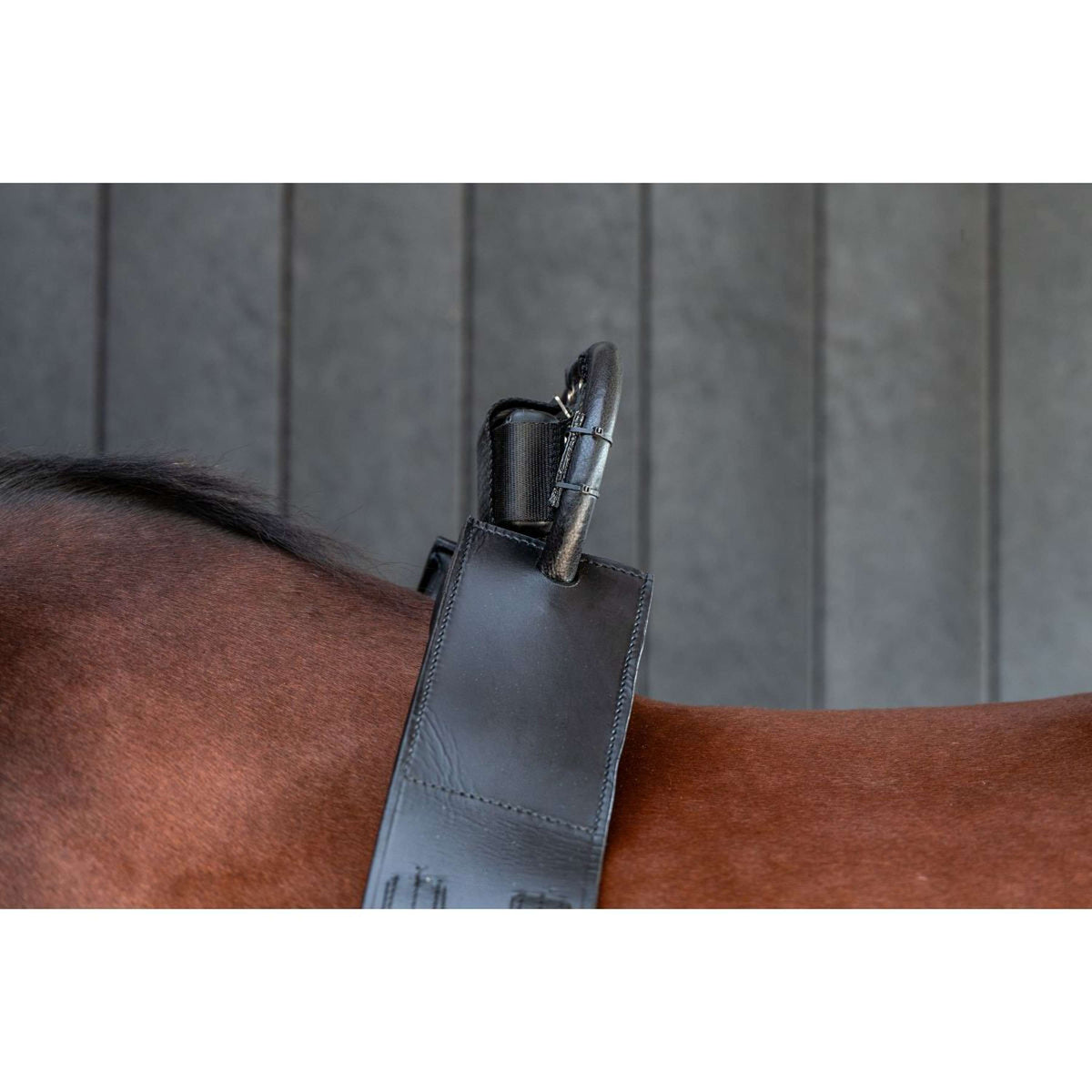 Birth Alarm Classic Completo incl. Cincha Antivuelco