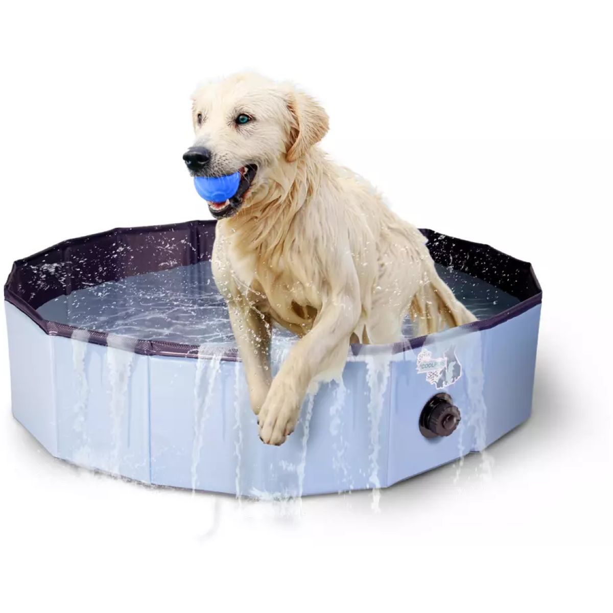 CoolPets Piscina para Perros Splash