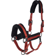 Covalliero Cabezada AW25 Oxido