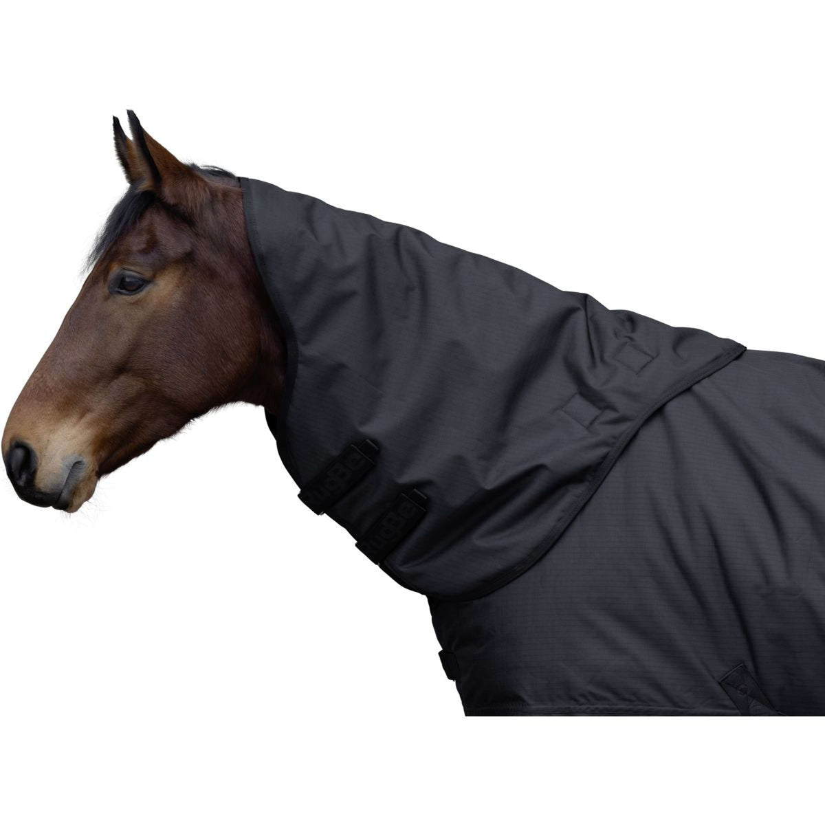 RugBe by Covalliero Cubrecuellos AW25 100g Negro