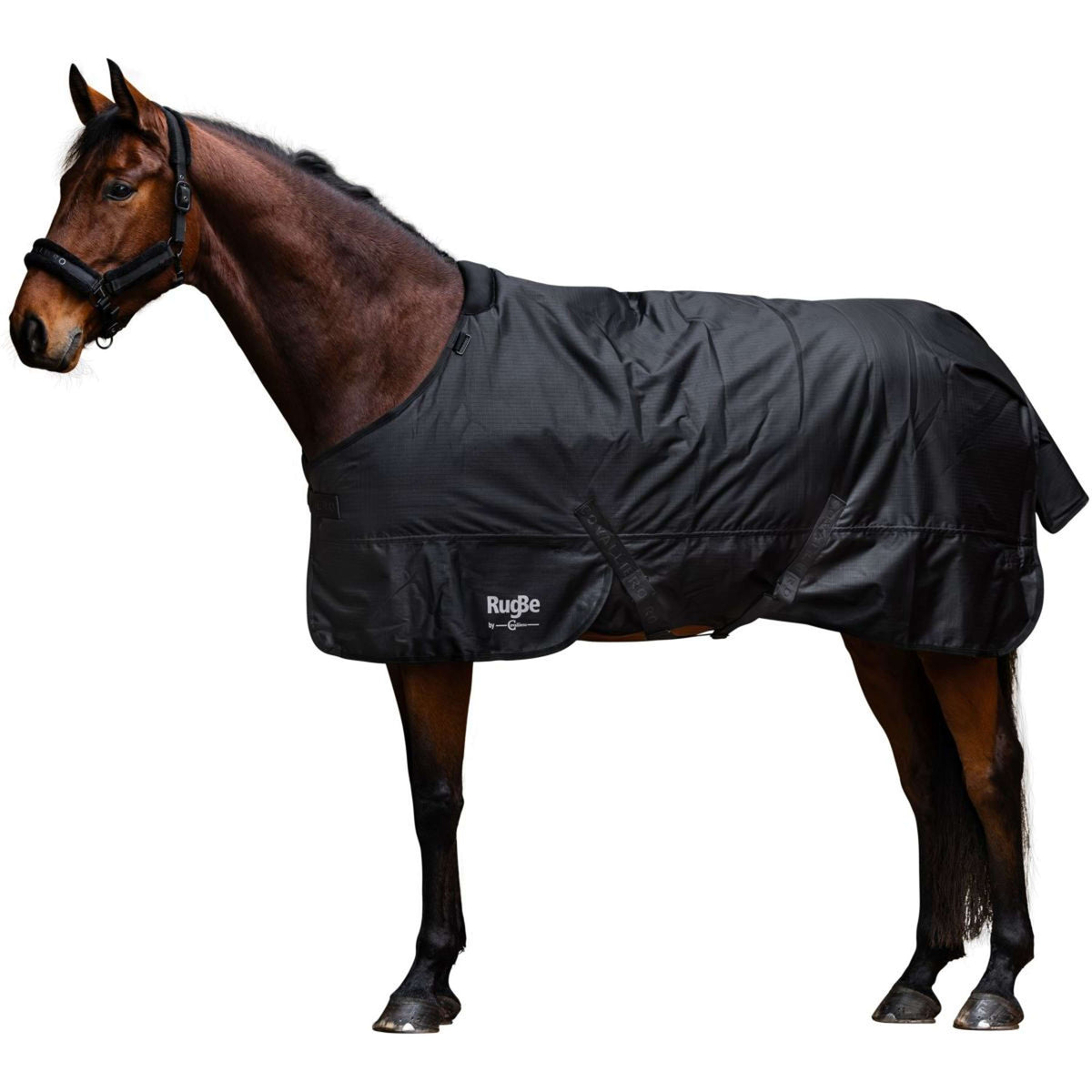 RugBe by Covalliero Manta de Invierno AW25 300g Negro