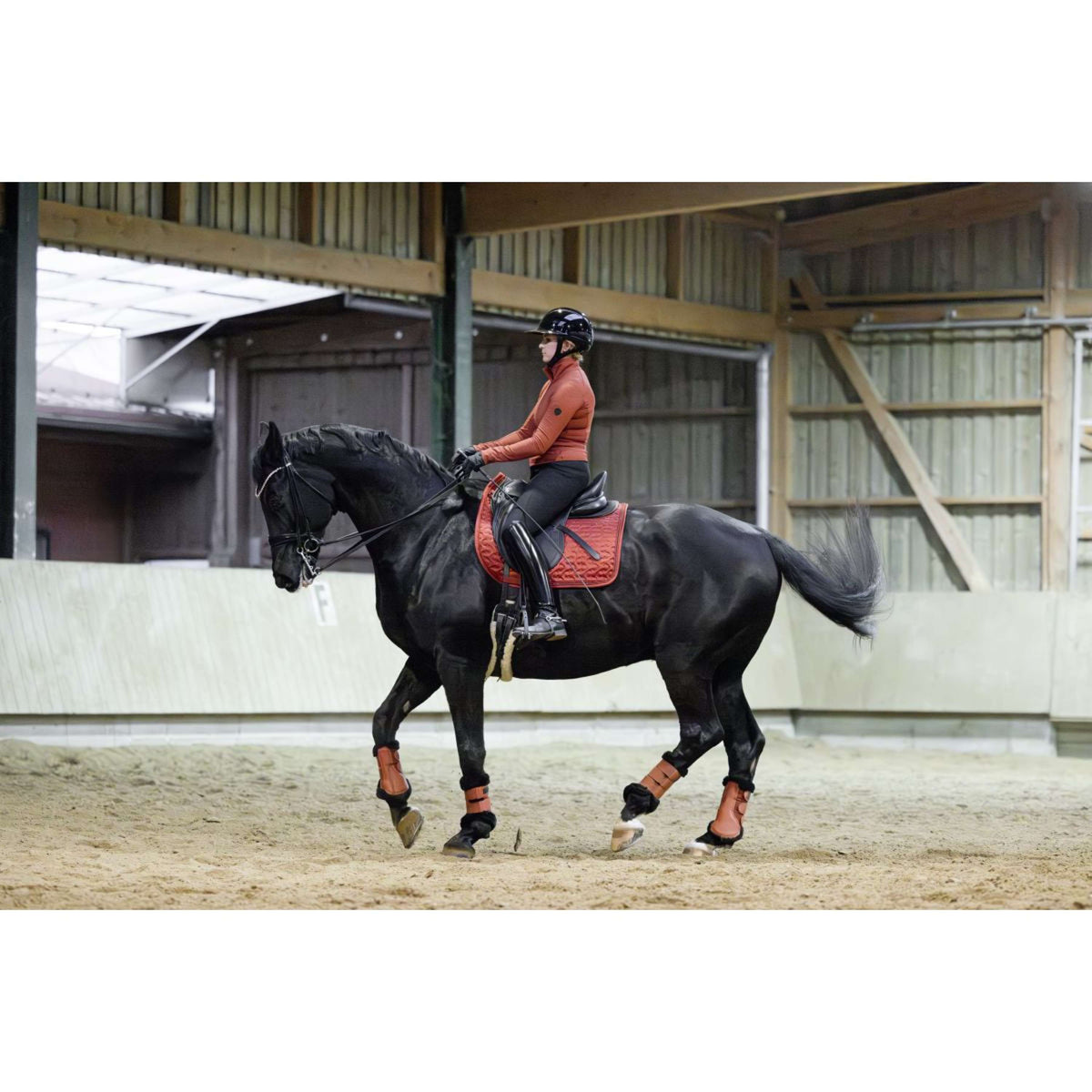 Covalliero Protectores de piernas AW25 Oxido