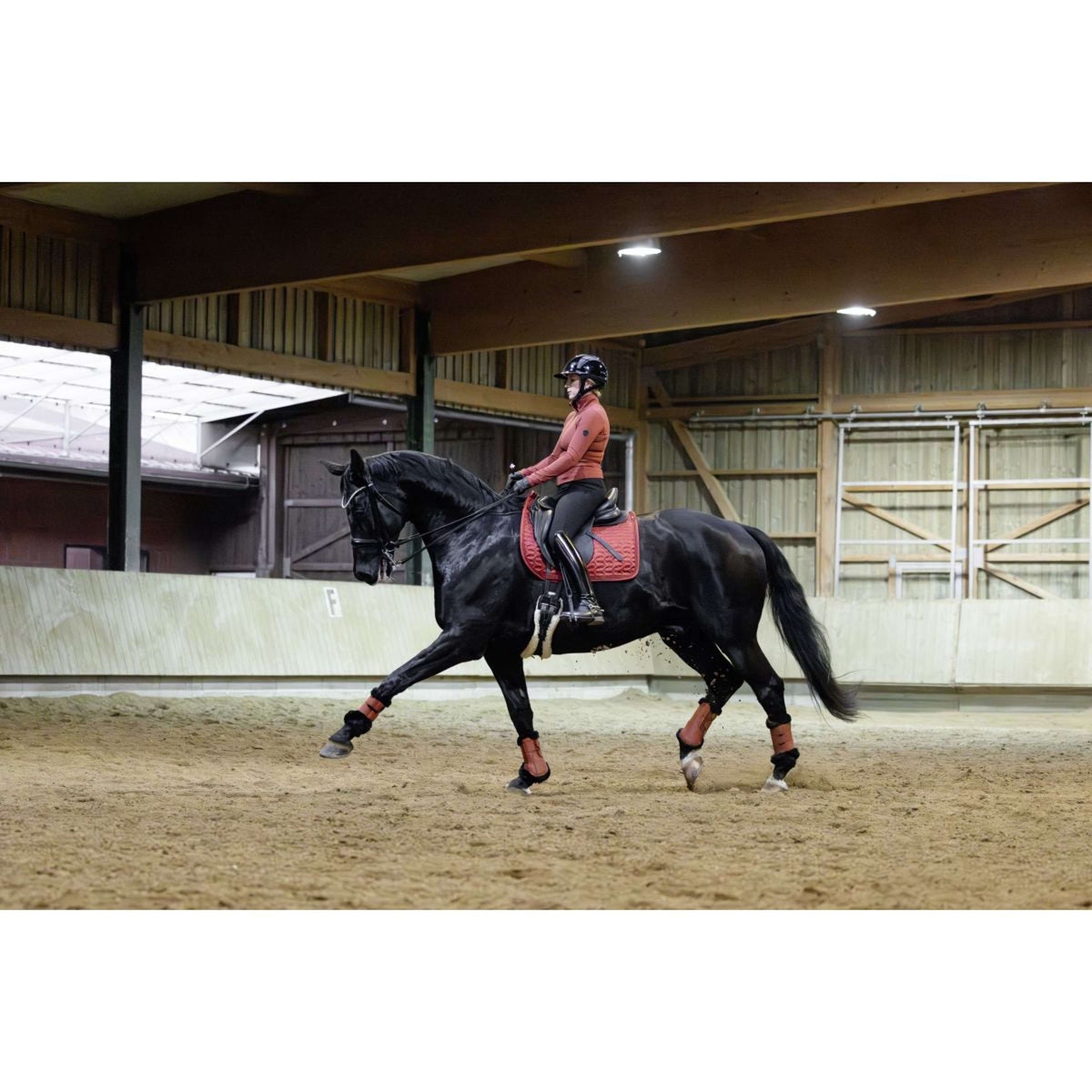 Covalliero Protectores de piernas AW25 Oxido