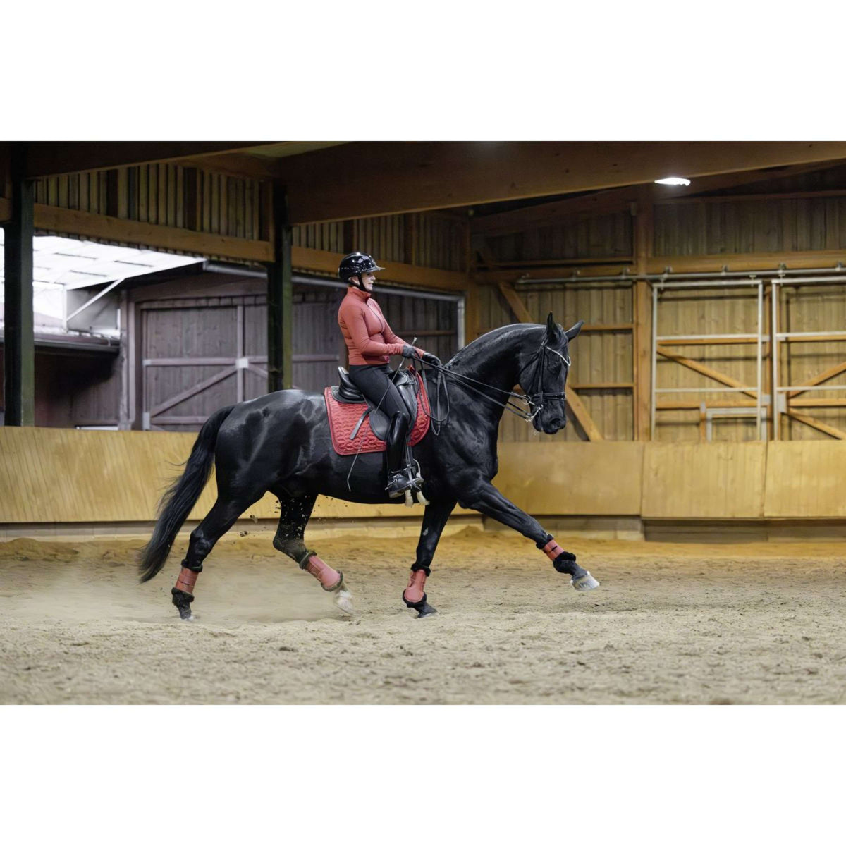 Covalliero Protectores de piernas AW25 Oxido