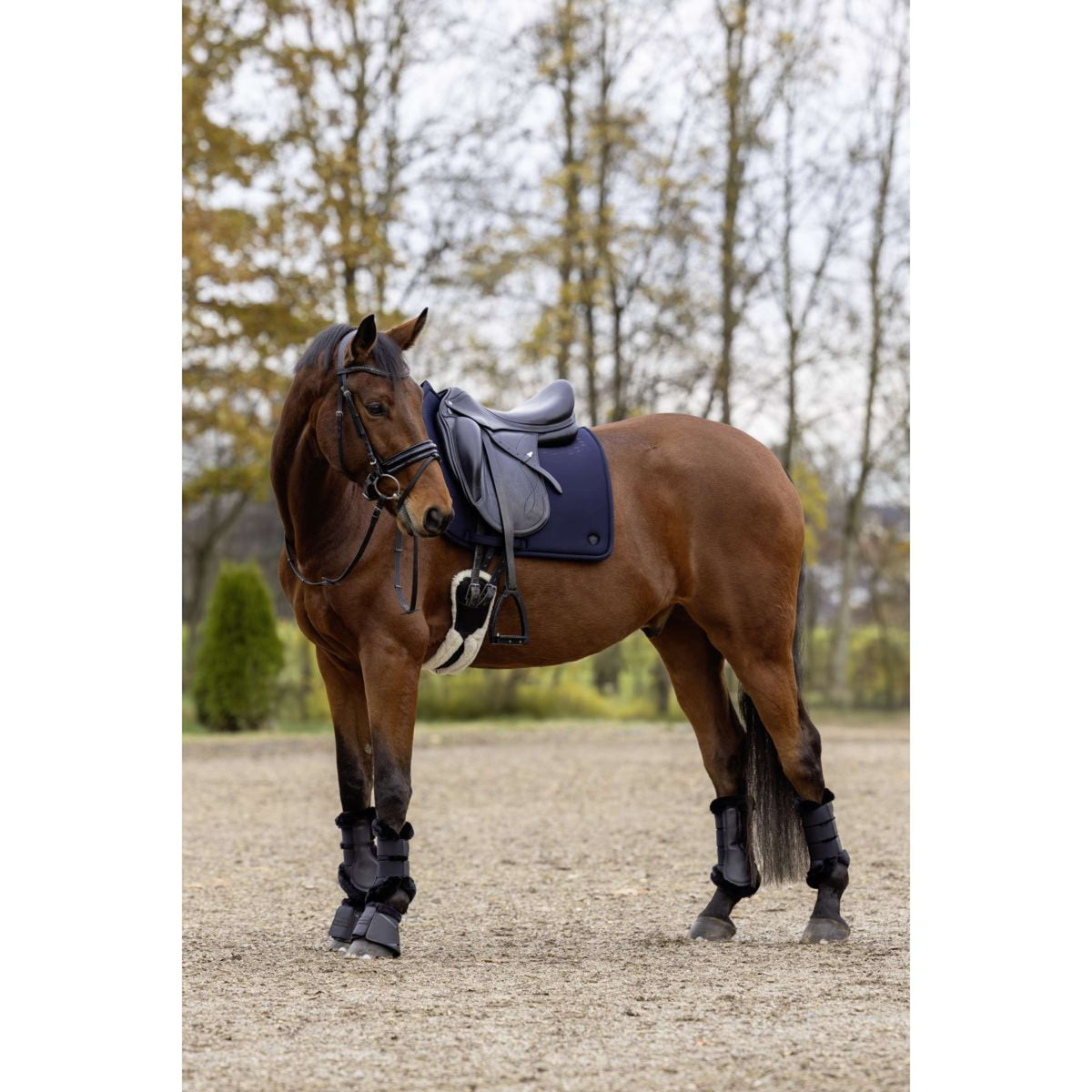 Covalliero Mantilla MemoryRide AW25 Doma clásica Dark Navy