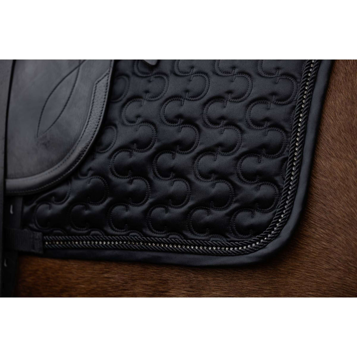 Covalliero Mantilla AW25 Doma clásica Negro