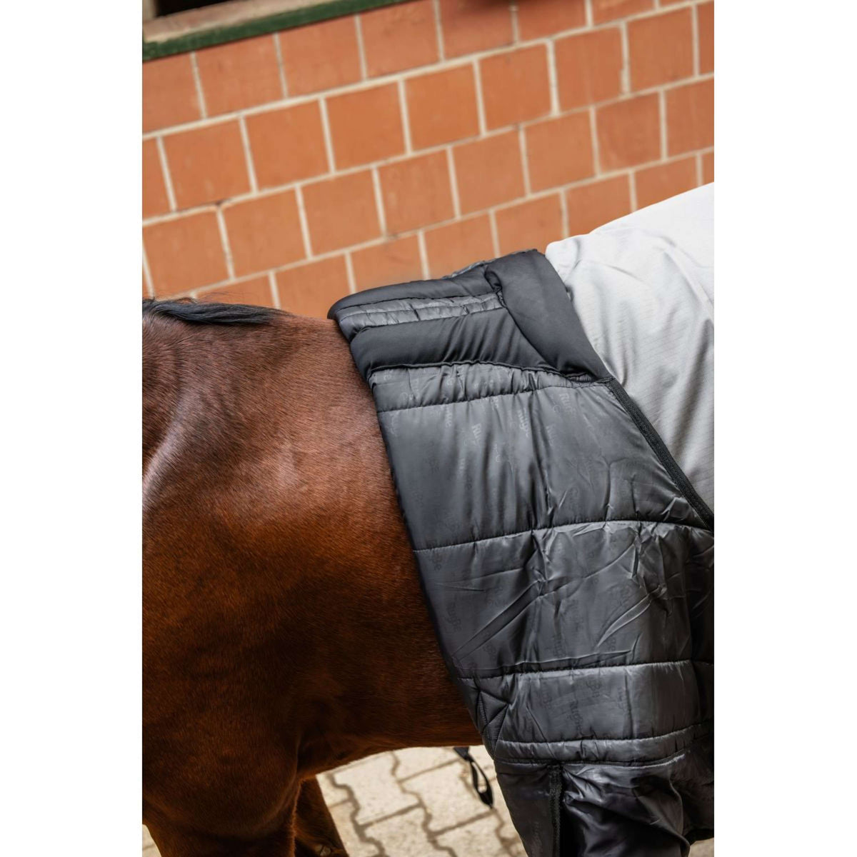 RugBe by Covalliero Manta de Invierno AW25 300g Steel Grey