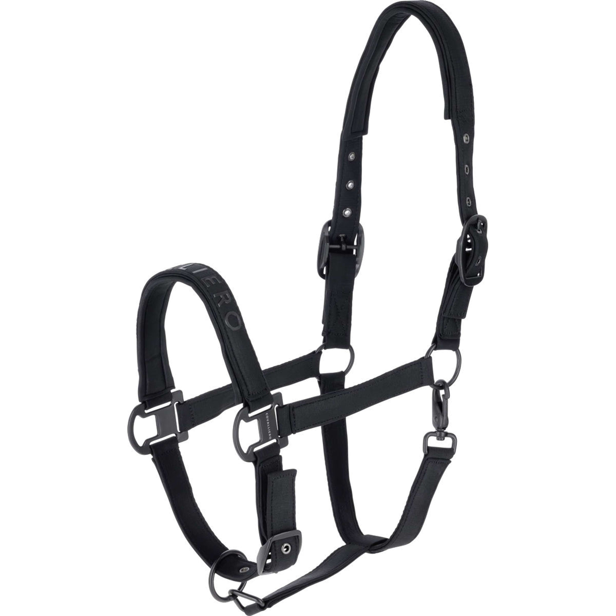 Covalliero Cabestro AW26 Negro
