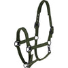 Covalliero Cabestro AW26 Forest Green