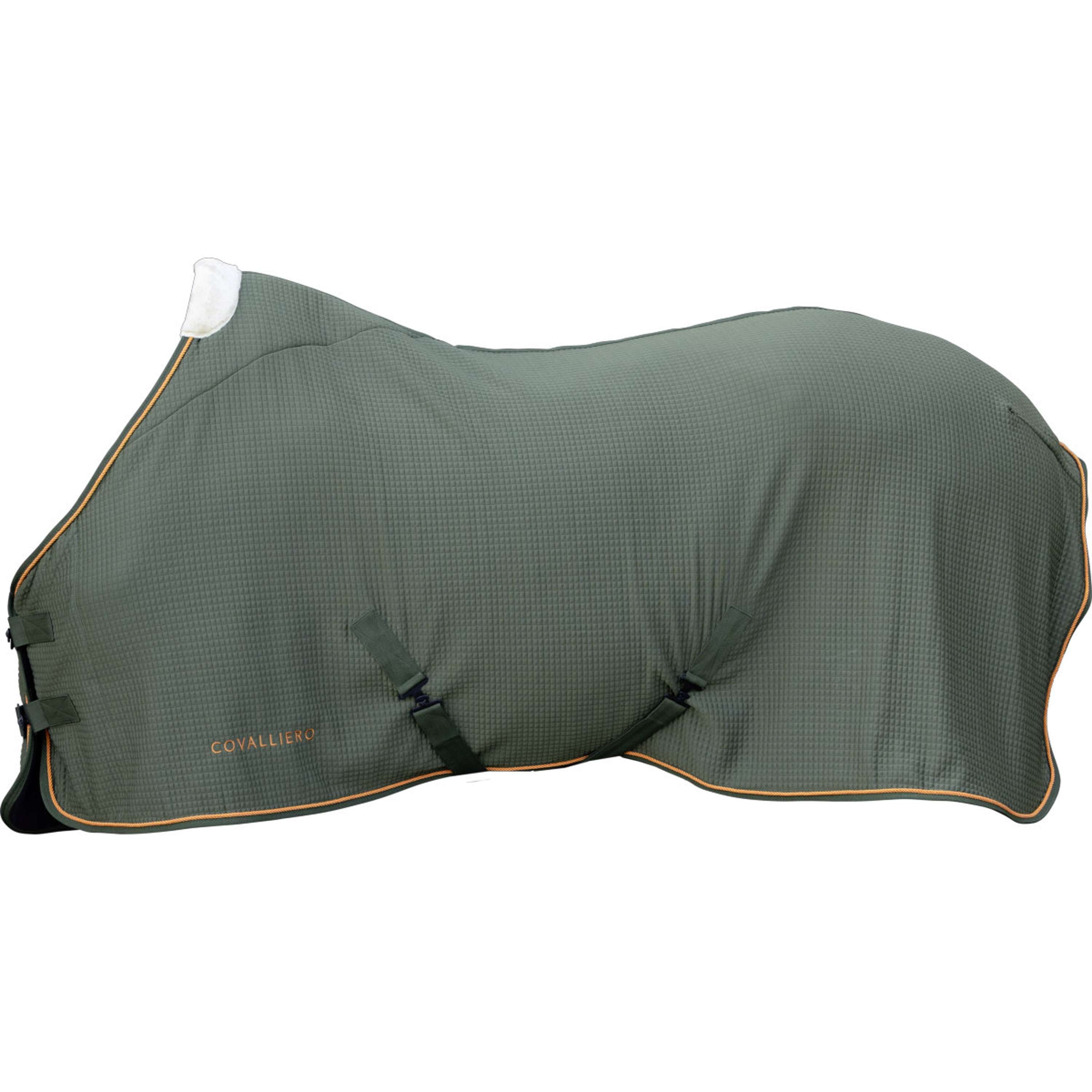 Covalliero Manta para el sudor Premium AW26 Forest Green