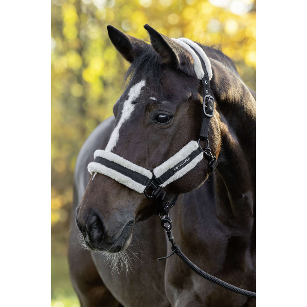 Covalliero Cabestro Soft AW26 Negro