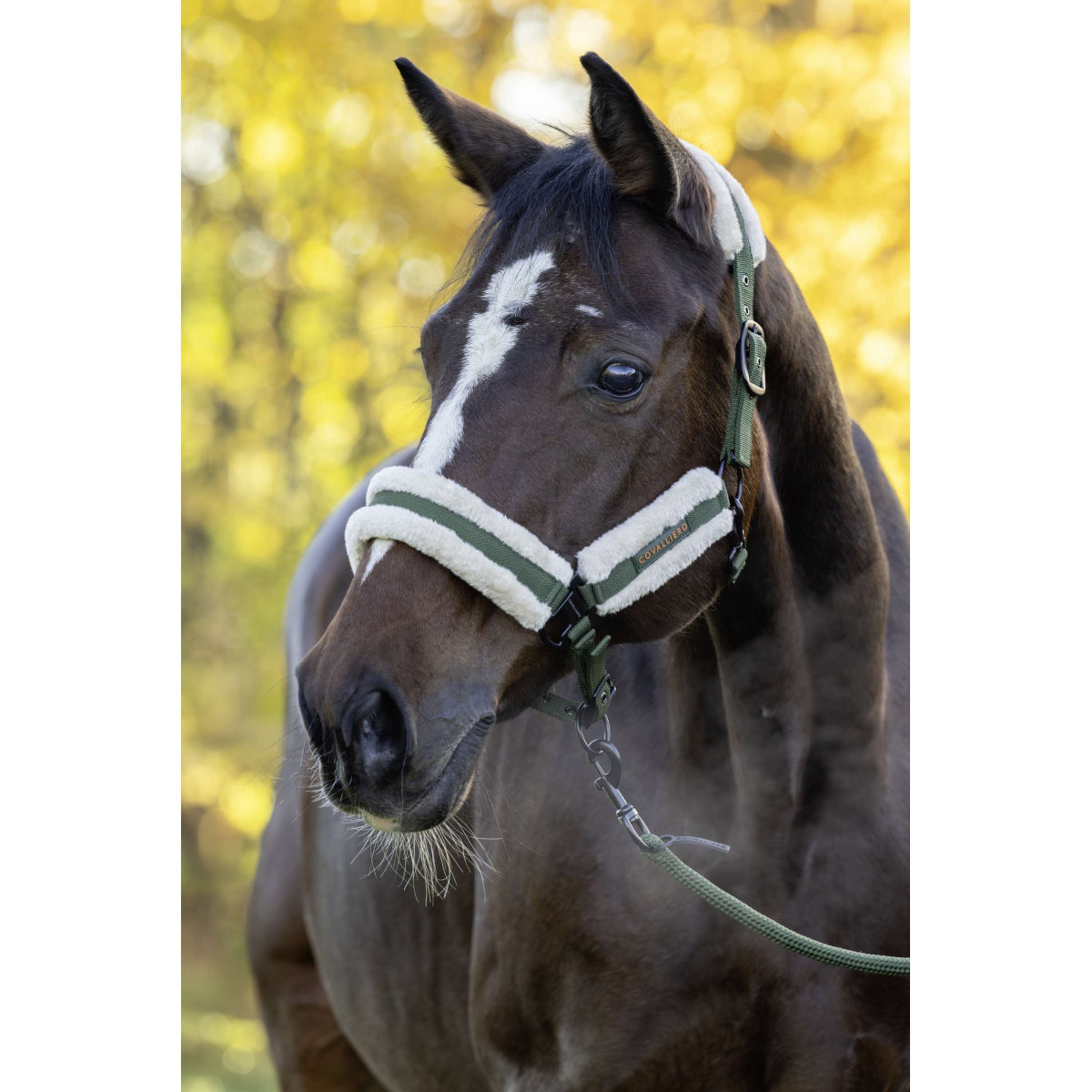 Covalliero Cabestro Soft AW26 Forest Green
