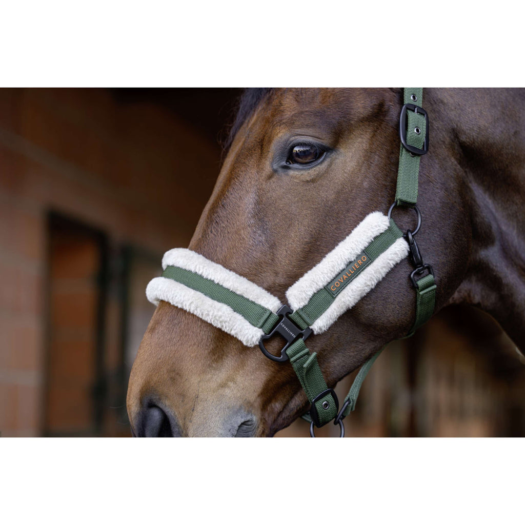 Covalliero Cabestro Soft AW26 Forest Green