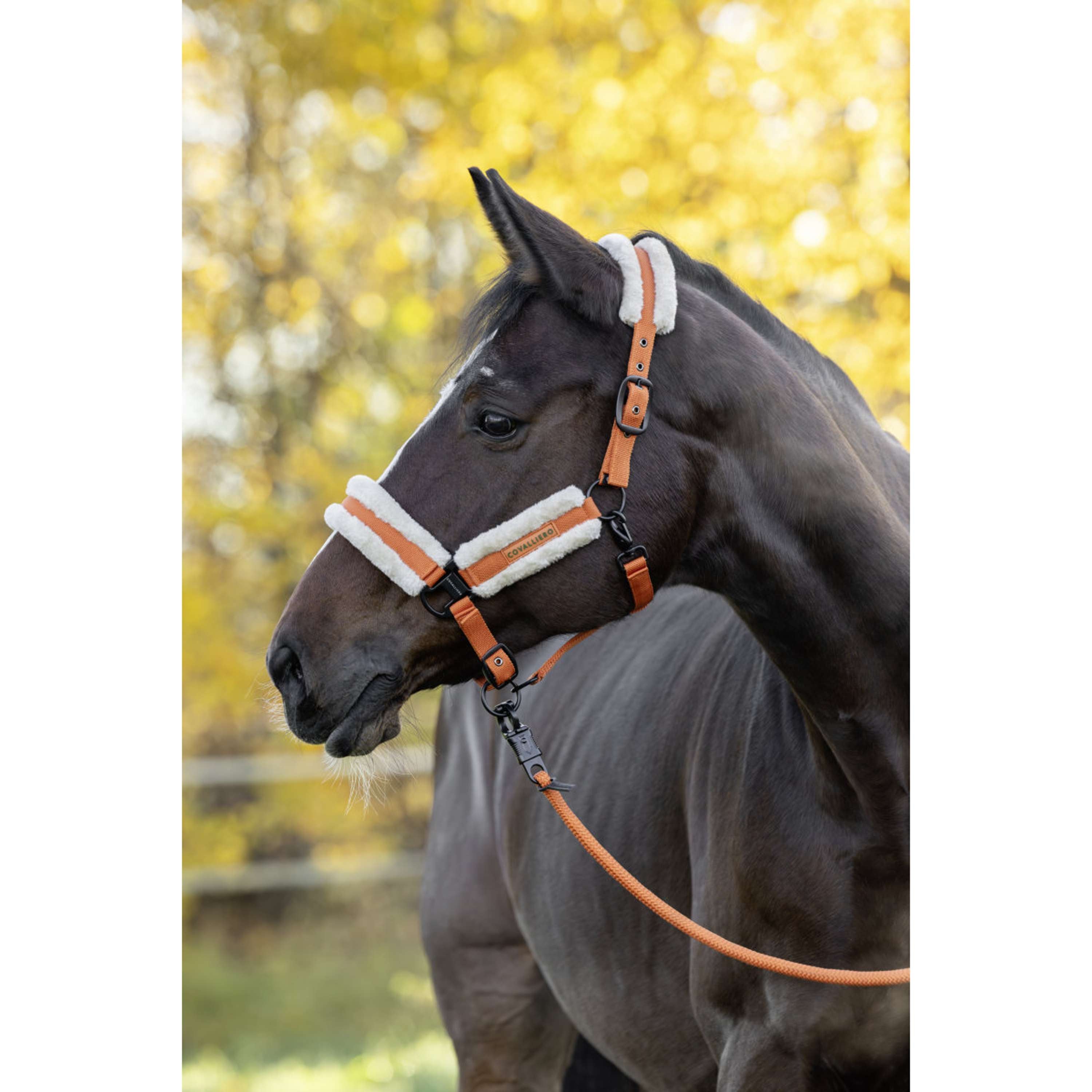 Covalliero Cabestro Soft AW26 Naranja